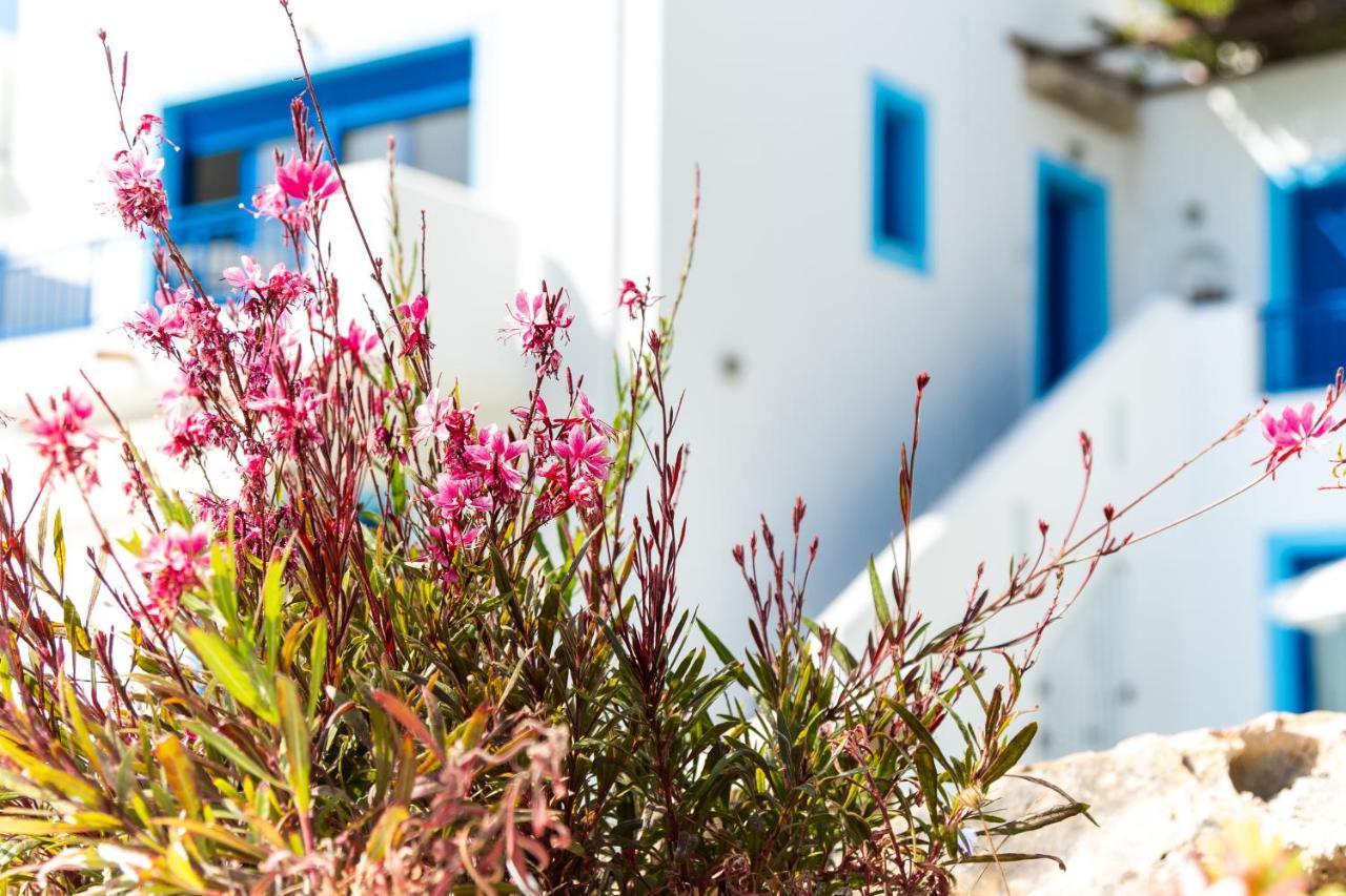Bella Vista Stegna Aparthotel Archangelos  Exterior photo